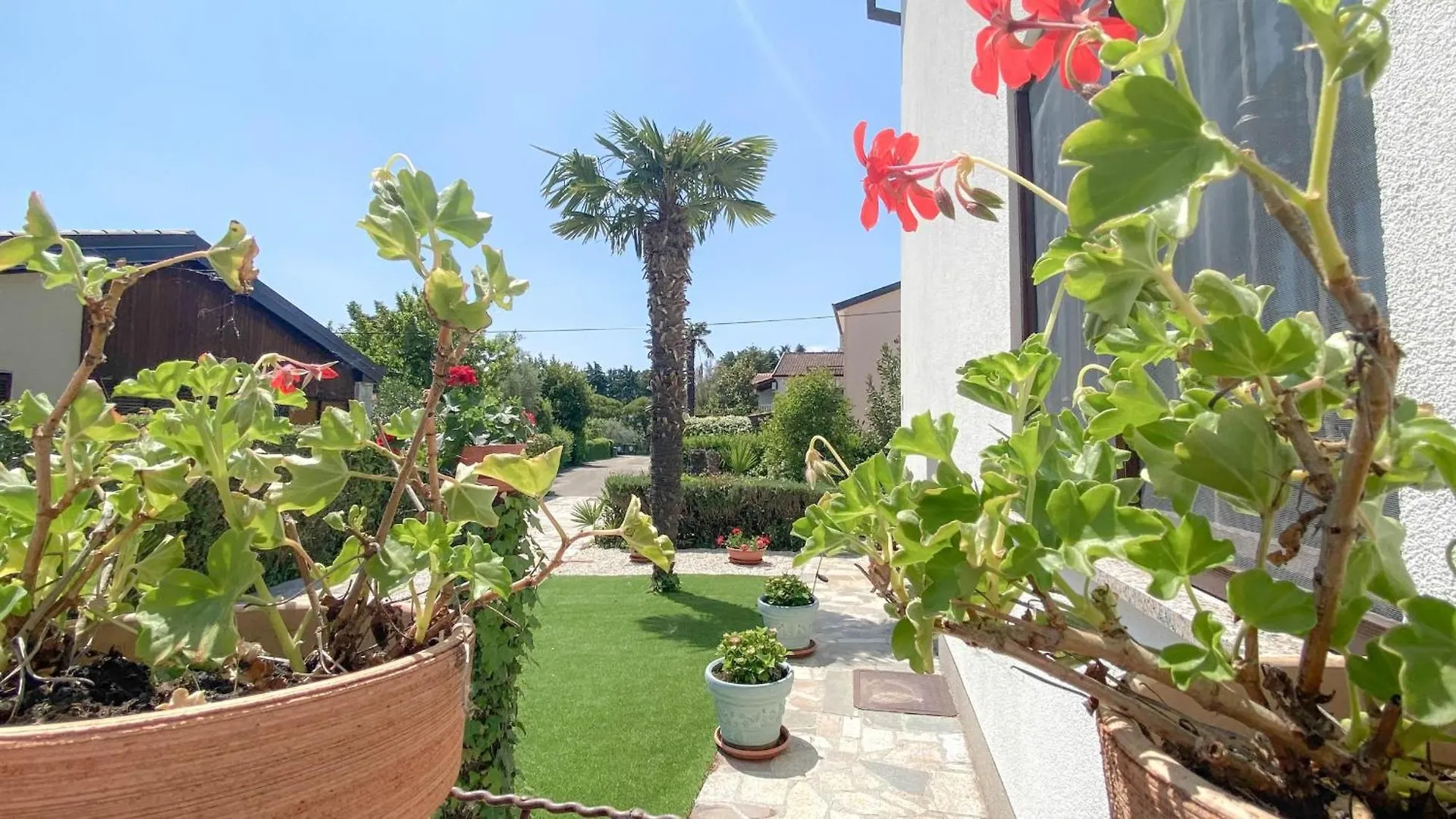 Marina No. 3 Apartment Novigrad  0*, Novigrad (Istria) Croatia